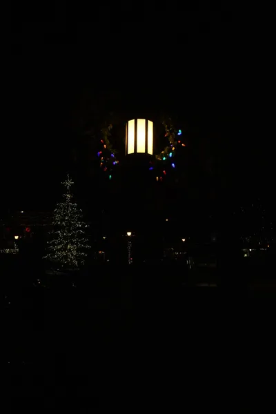 DSC_0027 (Large).JPG